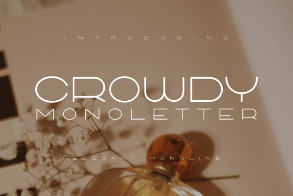 Crowdy Monoletter Font for Elegant Small Business Branding
