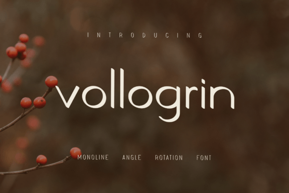 Vollogrin: A Stylish Sans Serif Font for Editorial Design and Digital Publishing