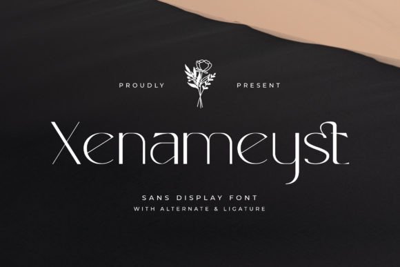 Xenameyst Font: Modern Sans Serif for Crafters